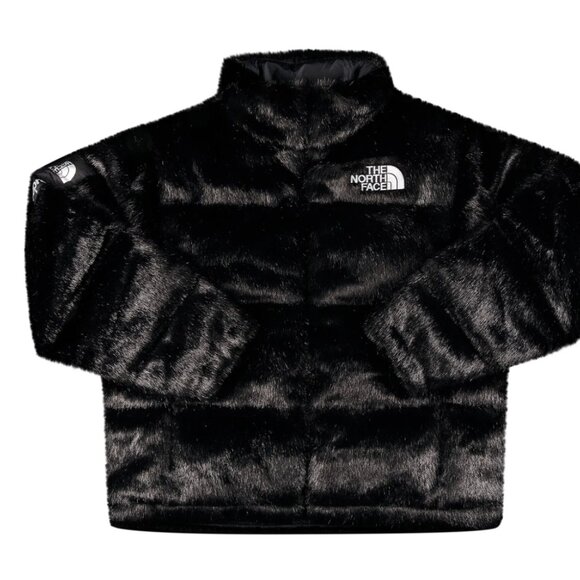 Supreme x The North Face - Picture 4 of 5